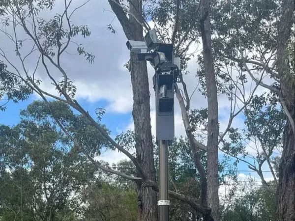 camera AI - Ảnh 2.