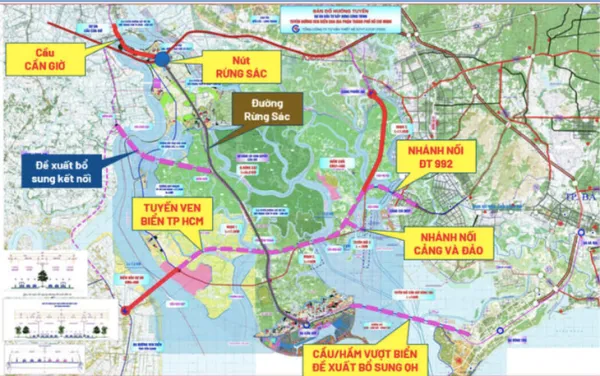 đường vượt biển Cần Giờ - Vũng Tàu - Ảnh 2.