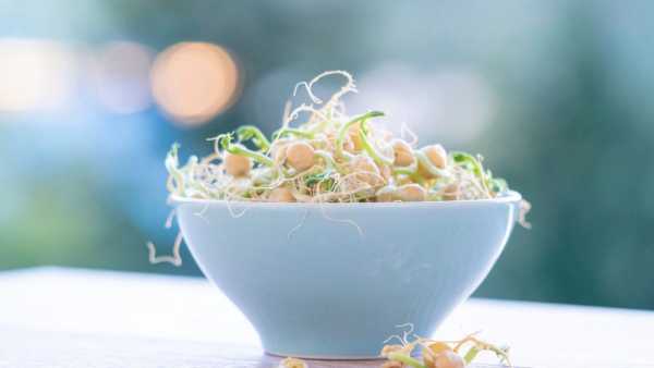 Moong Dal Sprouts And Chole Salad