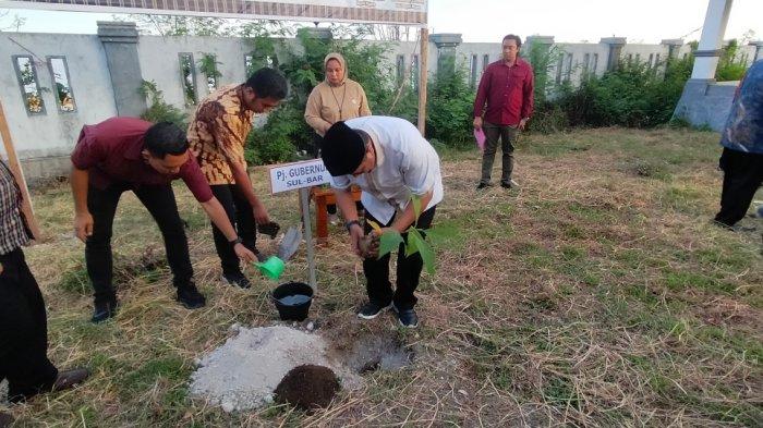 Penjabat (Pj) Gubernur Sulawesi Barat (Sulbar) Dr Bahtiar tanam ukun di halaman belakang pendopo rujab bupati Majene, Kelurahan Pangali-Ali, Kecamatan Banggae, Kamis 30 Mei 2024.