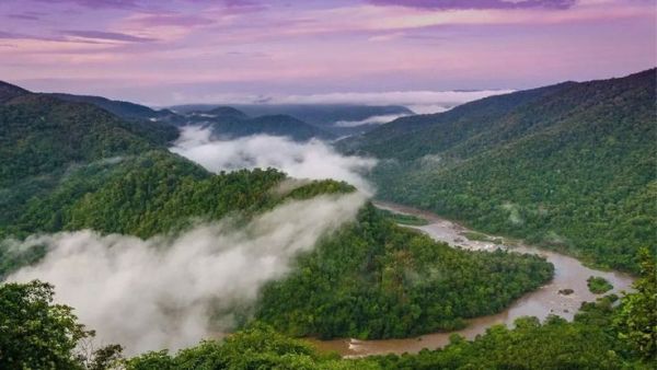 This may contain: the valley is surrounded by trees and fog in the air, with mountains on either side