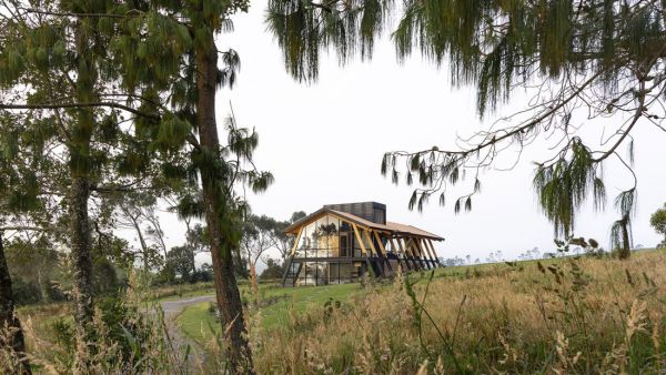 ngôi nhà - Ảnh 1.