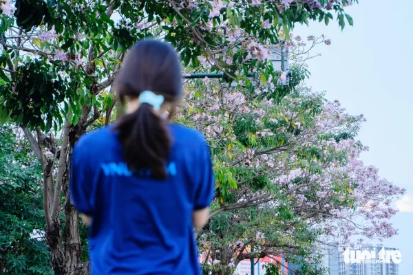 Hoa kèn hồng - Ảnh 8.