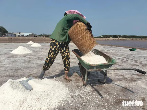 thiệt hại - Ảnh 1.