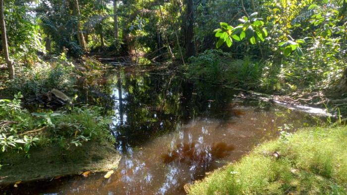 LIMBAH SAWIT CEMARI SUNGAI- Kondisi air sungai di Dusun Salansang, Desa Kire, Kecamatan Budong-budong, Mamuju Tengah, yang sempat berubah warna diduga akibat pencemaran limbah, membuat warga setempat resah.