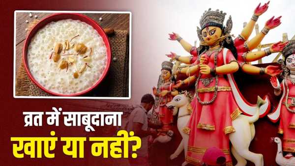 Navratri Vrat 2026: Do you eat sago during Navratri fast? Know whether it is pure or impure
