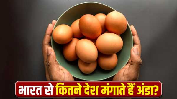 India, China or America, which country leads in egg production?