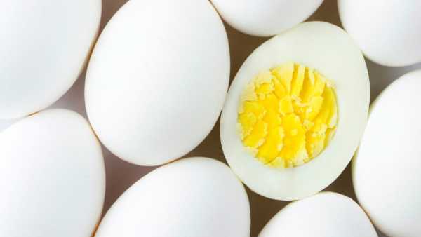 Top Egg Production In World