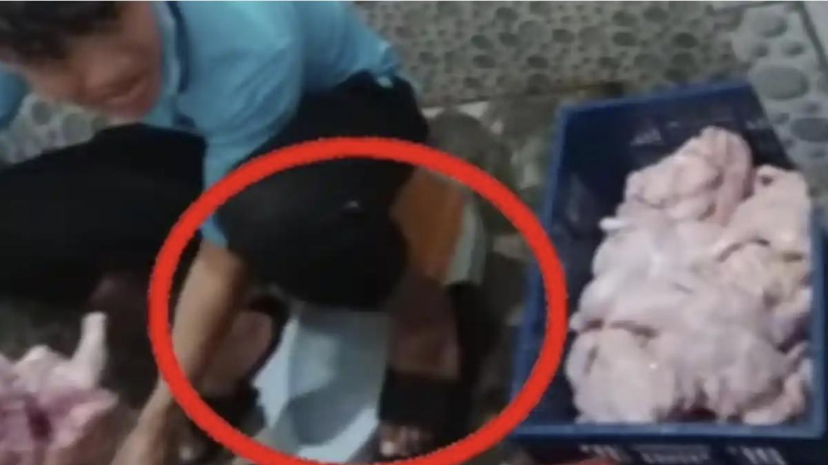 MBG VIRAL - POLEMIK MENU MBG: Aktivitas Satuan Pelayanan Pemenuhan Gizi (SPPG) di Desa Bantarjaya, Kecamatan Rancabungur, Kabupaten Bogor viral karena kepergok cuci ayam di masjid