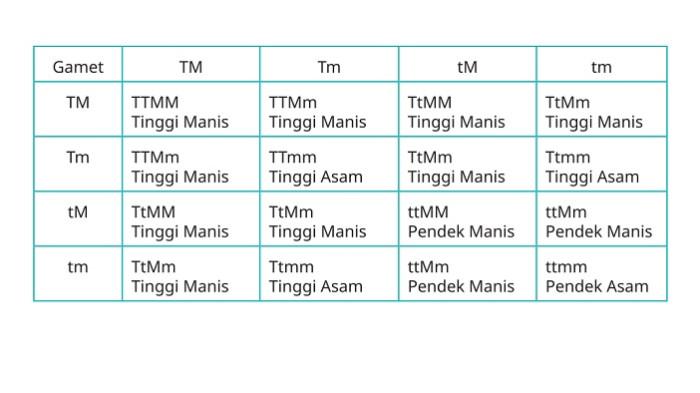 Kunci Jawaban Biologi Kelas 12 Halaman 100 Kurikulum Merdeka jawaban 1