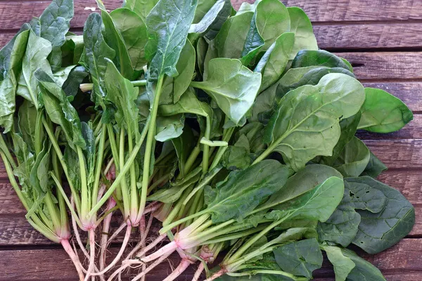 vegetables more calcium than kale bone health tips