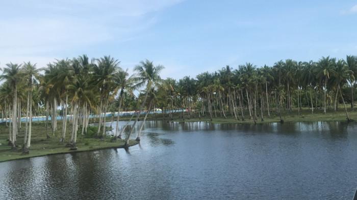 WISATA MUARO MATI- Keindahan objek wisata Muaro Mati di Tiku, Nagari Tiku Selatan, Kecamatan Tanjung Mutiara, Kabupaten Agam, Minggu (22/3/2026). Pengunjung mengaku kagum akan keindahan alam di Muaro Mati, tempatnya sejuk dan berbeda dari objek wisata lain.