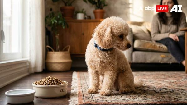 (Image Source: ABPLIVE AI)