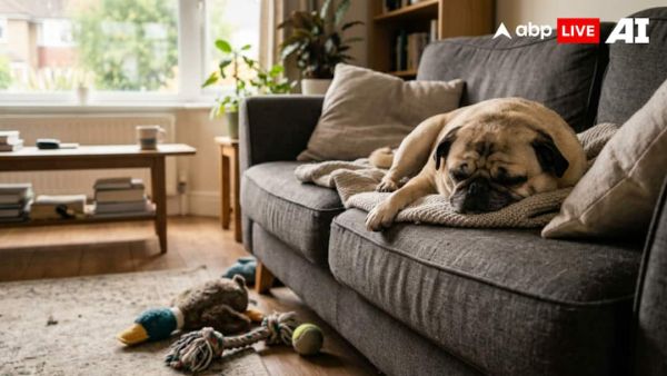 (Image Source: ABPLIVE AI)