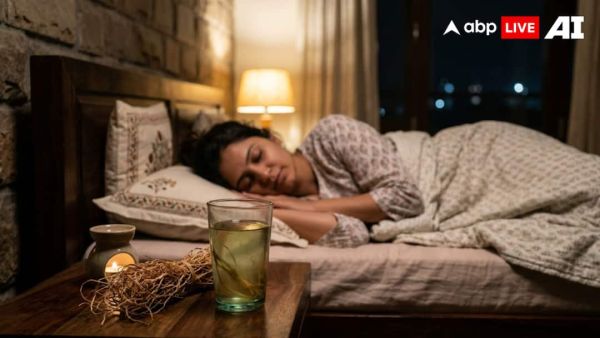 (Image Source: ABPLIVE AI)