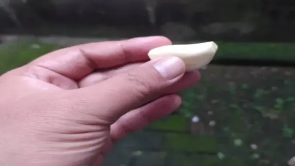 आहारावर आधारित उपाय निरोगी जीवनशैलीला पूरक ठरू शकतात, असे तज्ञांचे म्हणणे आहे.