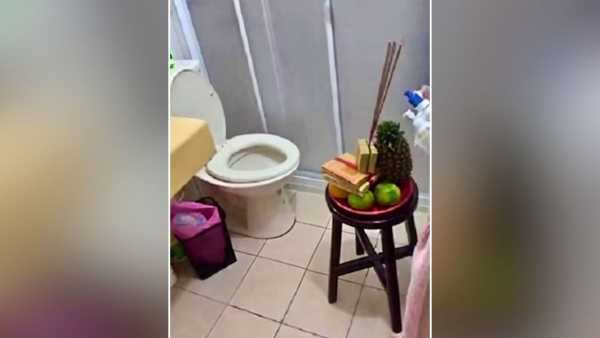 Amazing amazing! In this country, toilet seat is worshipped, people bow their heads and pray for it.