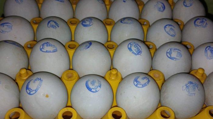 TELUR ASIN MASIR - Tumpukan telur asin merek 'Telur Asin Nusantara' yang dipotret hari ini di kediaman pengusaha UMKM Sutarni, Jaten, Karanganyar Kamis(26/3/2026).