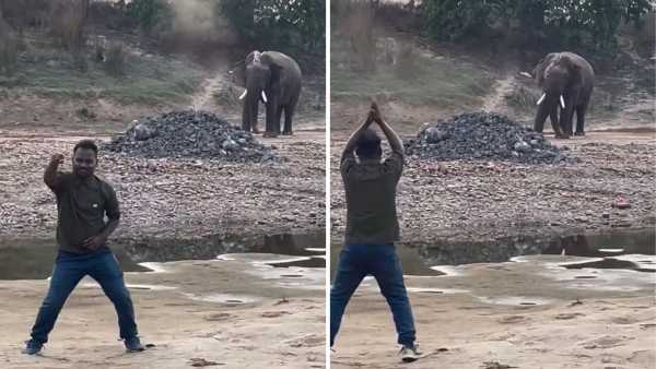Viral: The person danced in front of the elephant in such a way that even 'Gajraj' could not stop himself; watch video