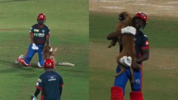 VIDEO: Left batting and took the dog in his lap, Prithvi Shaw kept watching, amazing sight seen in DC match