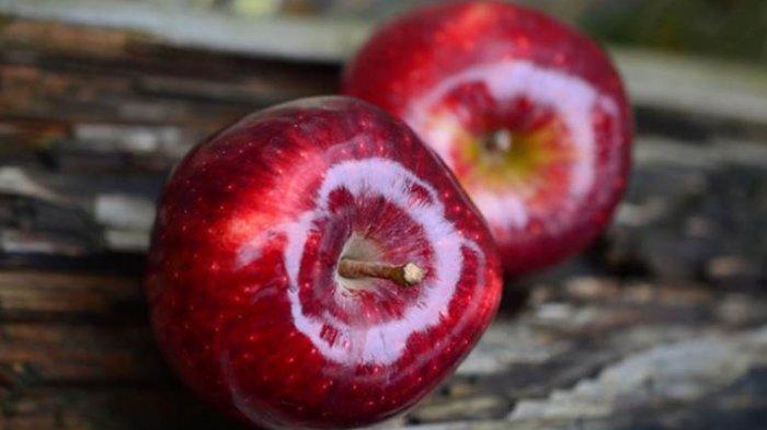 Ilustrasi apel