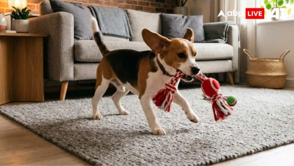 (Image Source: ABPLIVE AI)