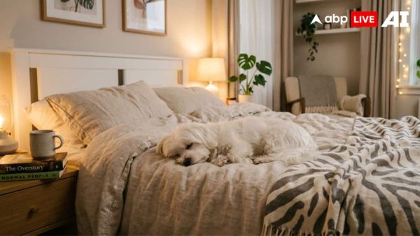 (Image Source: ABPLIVE AI)