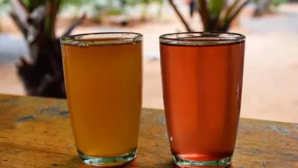 NDTV वर ताज्या आणि ताज्या बातम्या