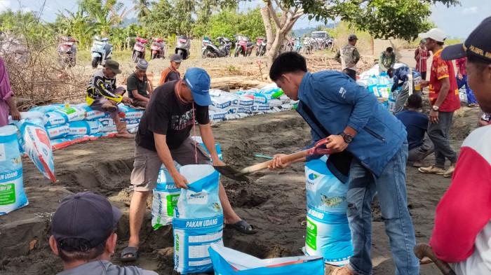 WARGA GOTONG ROYONG - Warga bersama pemerintah desa, mahasiswa, dan aparat TNI bergotong royong mengisi serta menyusun karung berisi pasir sebagai tanggul darurat untuk menahan abrasi pantai di Desa Pangiang, Kecamatan Bambalamotu, Kabupaten Pasangkayu, Sulawesi Barat, Sabtu (28/3/2026). Upaya ini dilakukan untuk melindungi badan jalan yang terancam rusak akibat terjangan ombak.
