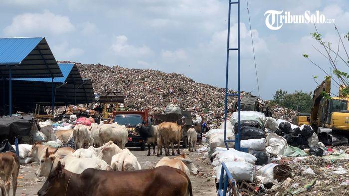BERPOTENSI STOP - Kondisi PLTSa dan TPA Putri Cempo, belum lama ini. Menteri Lingkungan Hidup (LH) Hanif Faisol Nurofiq membuka kemungkinan penghentian operasional Pembangkit Listrik Tenaga Sampah (PLTSa) Putri Cempo di Solo.