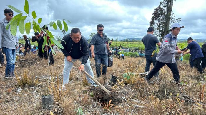 ebagai bagian dari aksi nyata pemulihan hutan di kawasan Danau Toba.