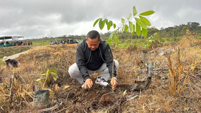 mengembalikan fungsi ekologis kawasan Danau Toba.
