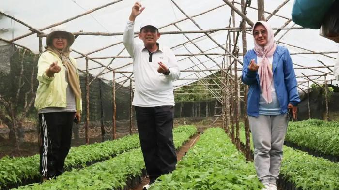 Gubernur Kepri, Ansar Ahmad bersama Ketua TPP PKK, Dewi Kumalasari dan Kadis Pertanian dan Ketahanan Pangan Kepri, Rika Azmi di antara bibit cabai yang akan dibagikan kepada Masyarakat pada Kamis (17/7/2025).