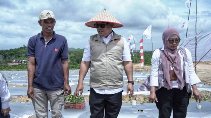 Wakil Gubernur Provinsi Kepulauan Riau, Nyanyang Haris Pratamura menghadiri kegiatan penanaman bibit cabai hijau dan cabai merah perdana yang digelar di Pantai Halona, Galang Baru, Batam, Kamis (8/1/2026)