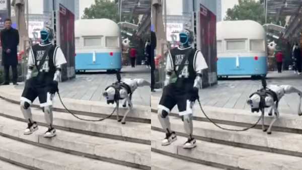 Viral Video: China's robot made fun of itself, did such a thing in the middle of the road
