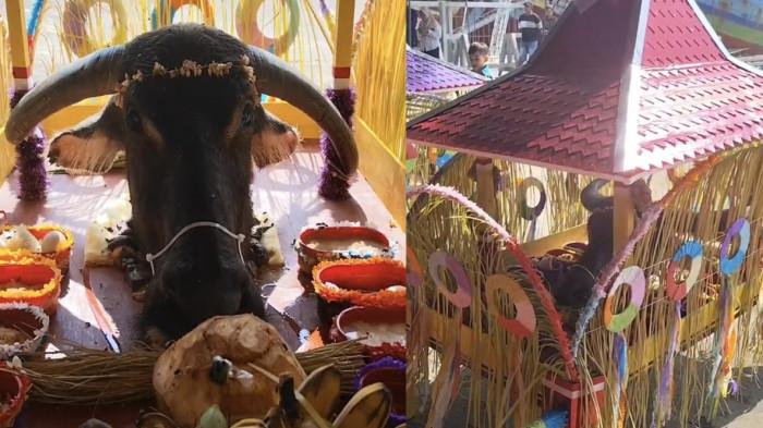 LARUNG SESAJI - Upacara larung sesaji berupa dua kepala kerbau dalam ritual tradisi Sedekah Laut TPI Juwana di Desa Bajomulyo, Kecamatan Juwana, Pati, Minggu (29/3/2026).