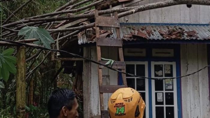 rusak rumah-pohon tumbang