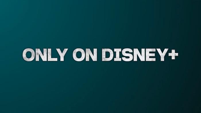 Disney+, anak perusahaan dari Walt Disney