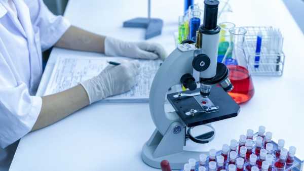 What is Urine Culture test, when and why is it done?