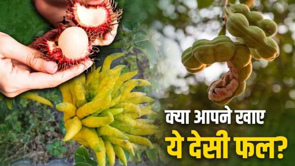 From Rambutan to Kafal.. you might not know about these 5 indigenous fruits of India!