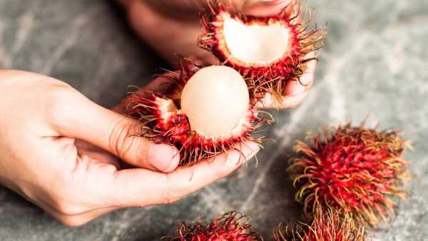 Rambutan Fruit