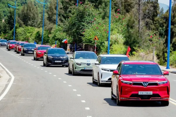 xe điện - Ảnh 1.