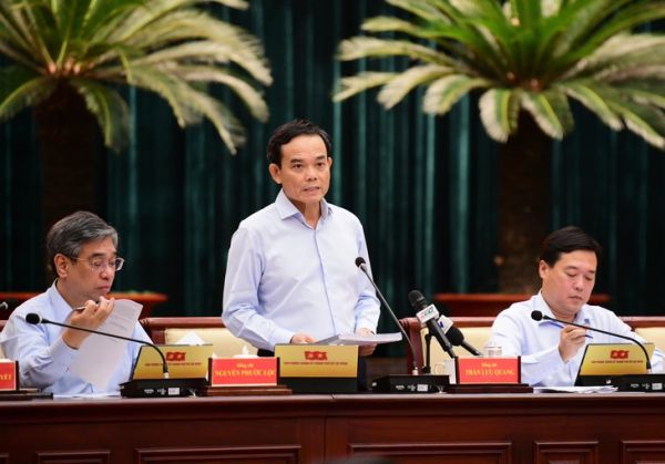 tầm soát sức khỏe - Ảnh 1.