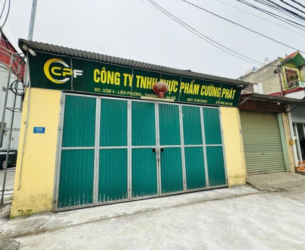 heo bệnh - Ảnh 3.