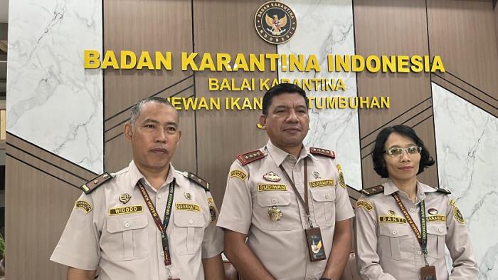 EKSPOR - Kepala Balai Karantina Hewan, Ikan, dan Tumbuhan Jambi, Sudiwan Situmorang mengonfirmasi kabar pengembalian ekspor pinang tujuan Iran.