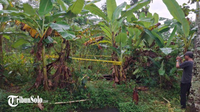DIDUGA DIBUNUH - Lokasi penemuan warga meninggal dunia secara tak wajar di wilayah Kelurahan Gemawang, Kecamatan Girimarto, Kabupaten Wonogiri, Kamis (2/4/2026) pagi. Korban yang merupakan berusia kurang lebih 30 tahun bernama Apriyan diduga menjadi korban pembunuhan. Sebab, terdapat luka tusukan dan sayatan di bagian leher korban.