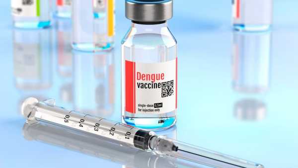 Dengue Vaccine: Dengue vaccine Qdenga may come soon in India, experts said - will provide big relief
