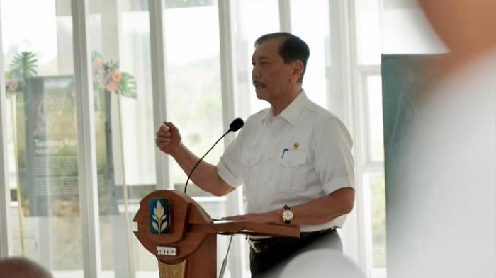 PERTANIAN BERDASARKAN AI