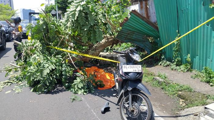 TEWAS TERTIMPA POHON -- Suasana di lokasi peristiwa seorang driver ojek online tewas tertimpa pohon di Jalan Kapten A Rivai seberang Kantor Samsat, Jumat (3/4/2026). Korban mengenakan jaket ojol saat kejadian.
