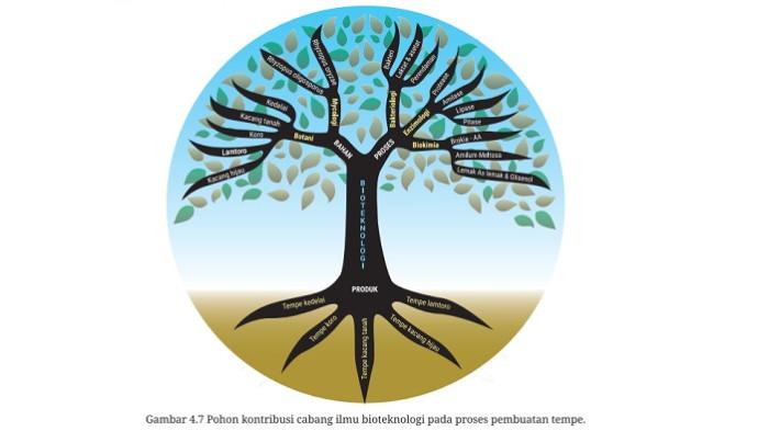 Kunci Jawaban Biologi Kelas 12 Halaman 193 194 Kurikulum Merdeka jawaban 1c